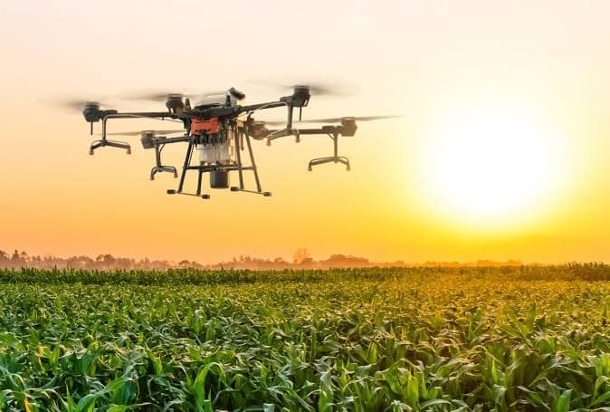 Agriculture