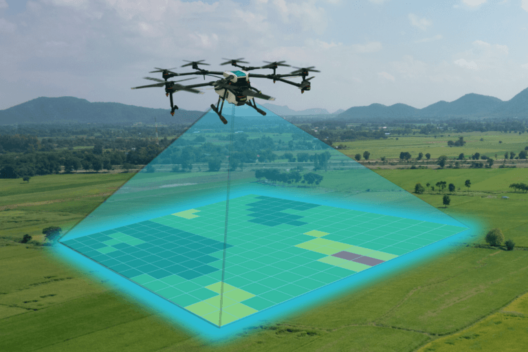 Drone mapping and survey